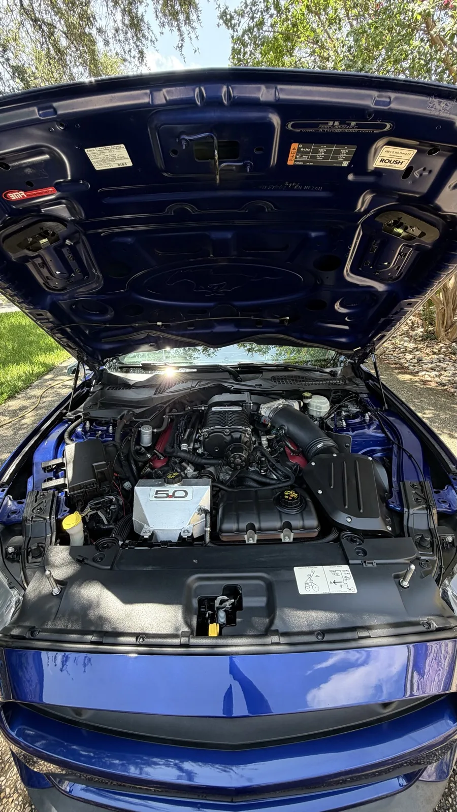 Ford Mustang engine bay after detailing