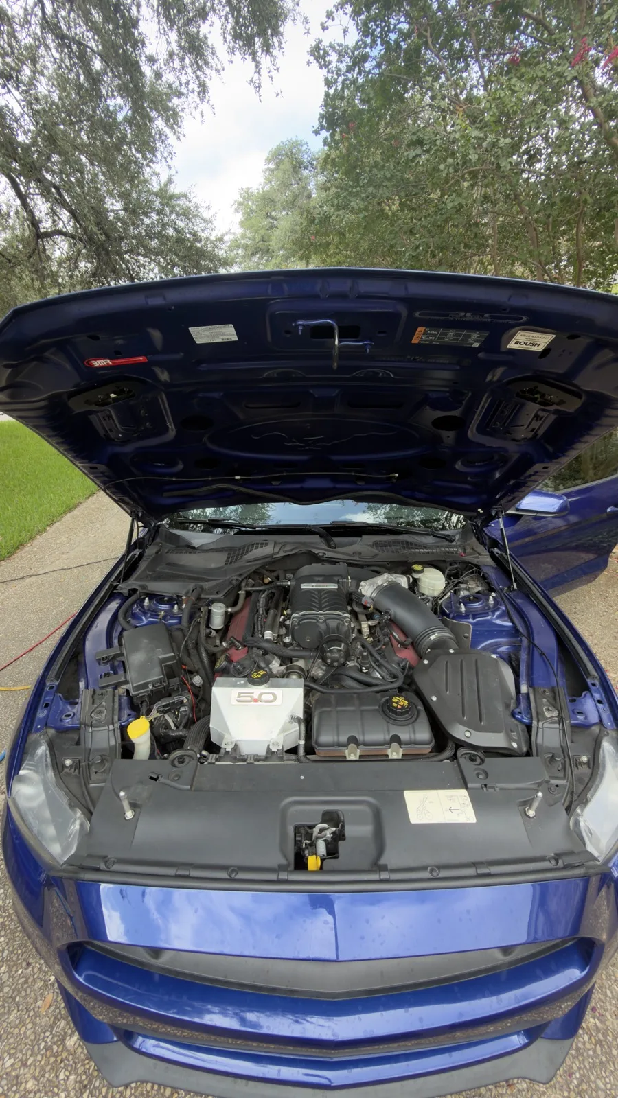 Our Detailing Process: Diagnose, Treat, Protect, Inspect