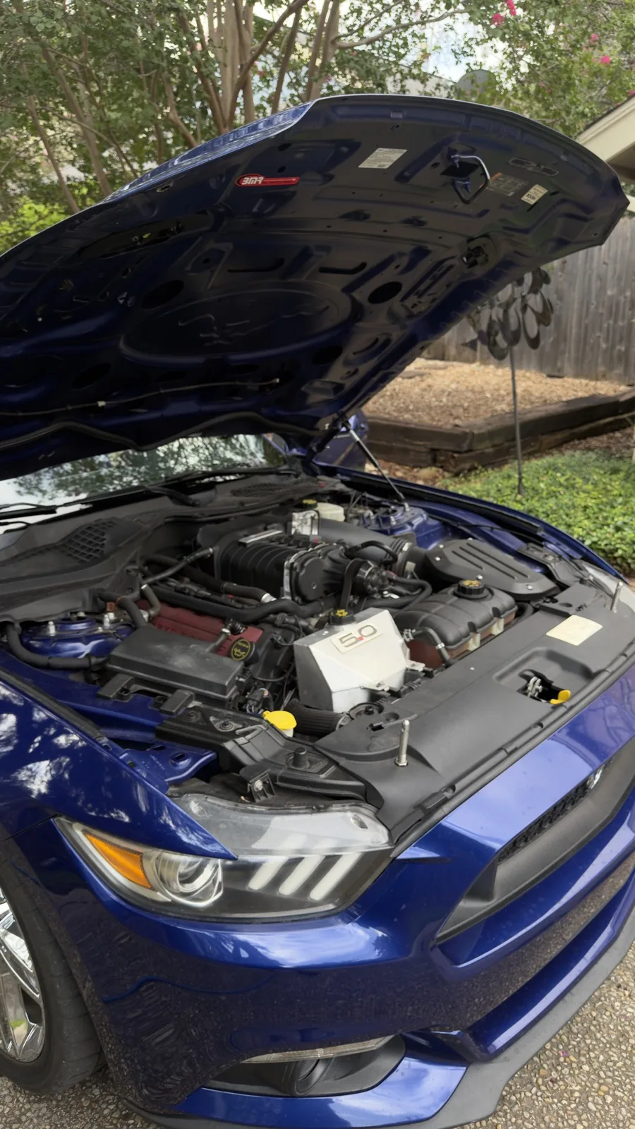Mustang engine bay detail, hood up