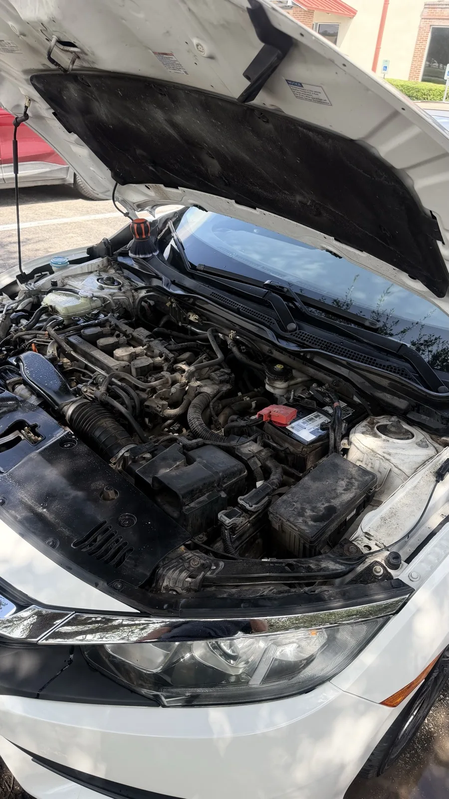 Engine bay before detailing, dust and grime